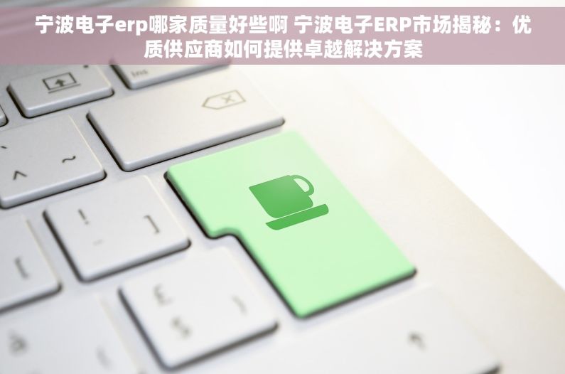 宁波电子erp哪家质量好些啊 宁波电子ERP市场揭秘：优质供应商如何提供卓越解决方案