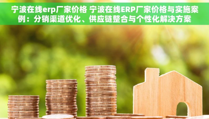 宁波在线erp厂家价格 宁波在线ERP厂家价格与实施案例：分销渠道优化、供应链整合与个性化解决方案