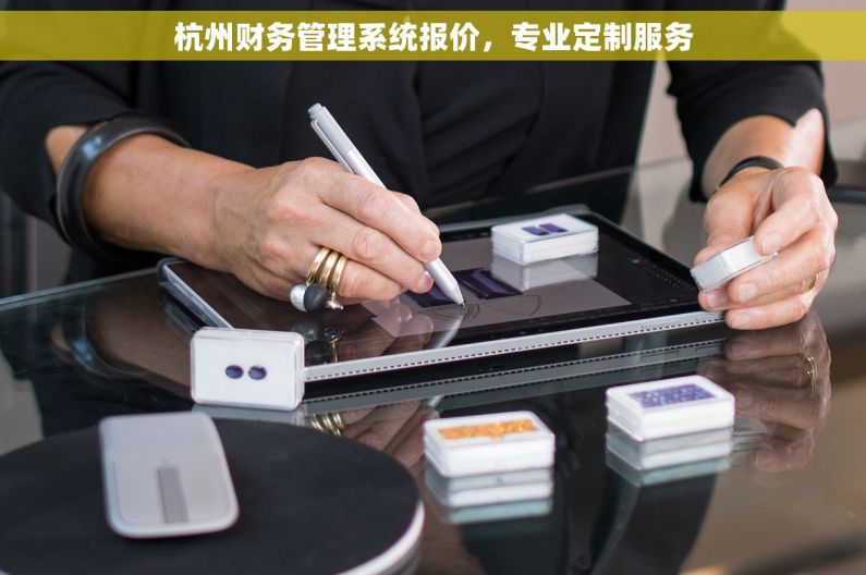 杭州财务管理系统报价，专业定制服务