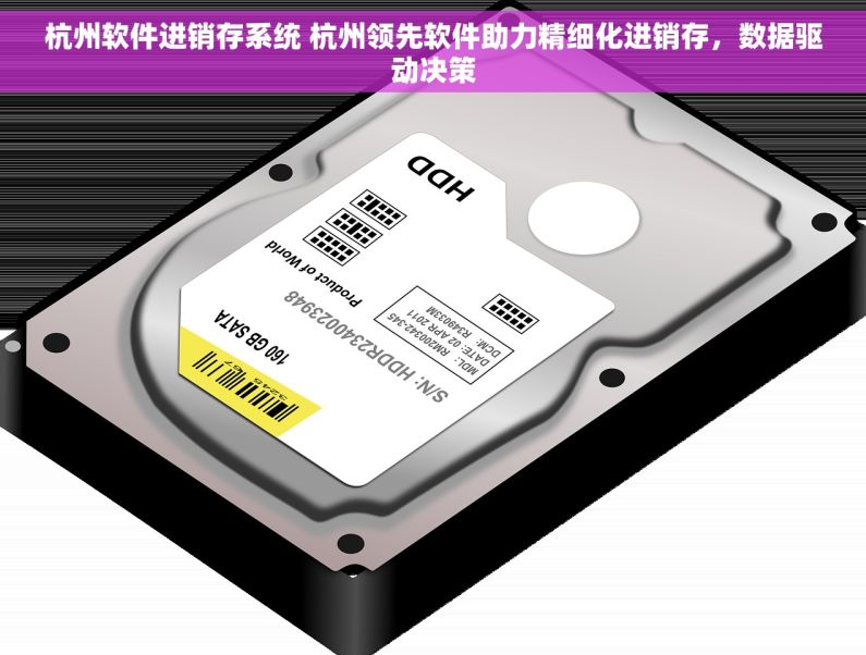 杭州软件进销存系统 杭州领先软件助力精细化进销存，数据驱动决策