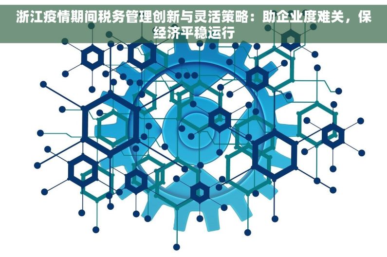 浙江疫情期间税务管理创新与灵活策略：助企业度难关，保经济平稳运行