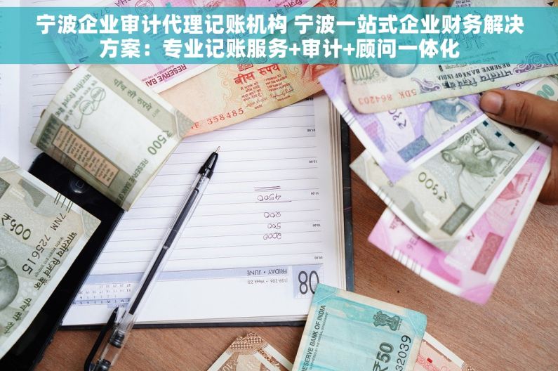 宁波企业审计代理记账机构 宁波一站式企业财务解决方案：专业记账服务+审计+顾问一体化