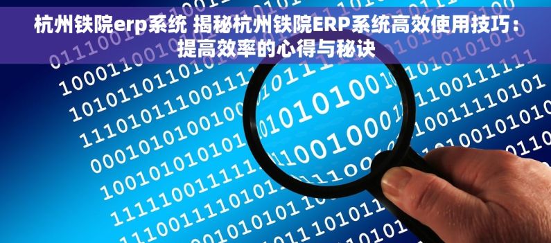 杭州铁院erp系统 揭秘杭州铁院ERP系统高效使用技巧：提高效率的心得与秘诀