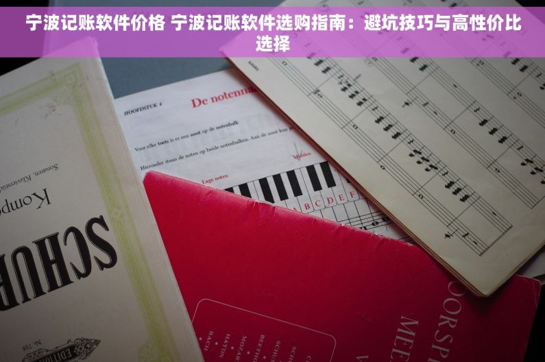 宁波记账软件价格 宁波记账软件选购指南：避坑技巧与高性价比选择