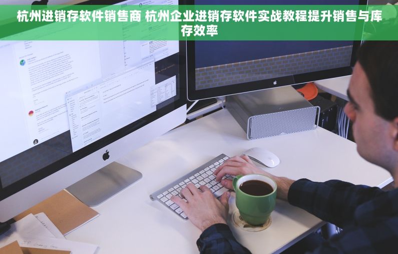 杭州进销存软件销售商 杭州企业进销存软件实战教程提升销售与库存效率
