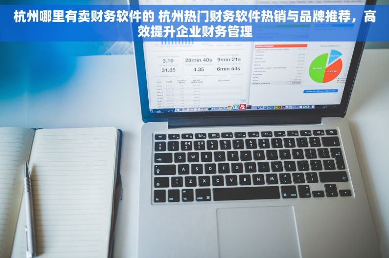 杭州哪里有卖财务软件的 杭州热门财务软件热销与品牌推荐，高效提升企业财务管理