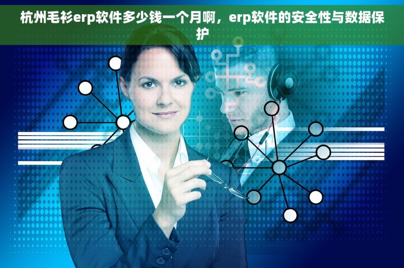 杭州毛衫erp软件多少钱一个月啊，erp软件的安全性与数据保护