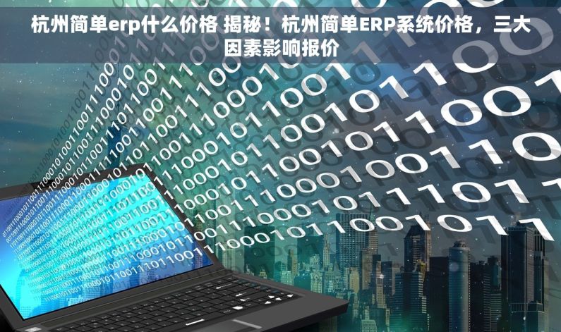 杭州简单erp什么价格 揭秘！杭州简单ERP系统价格，三大因素影响报价