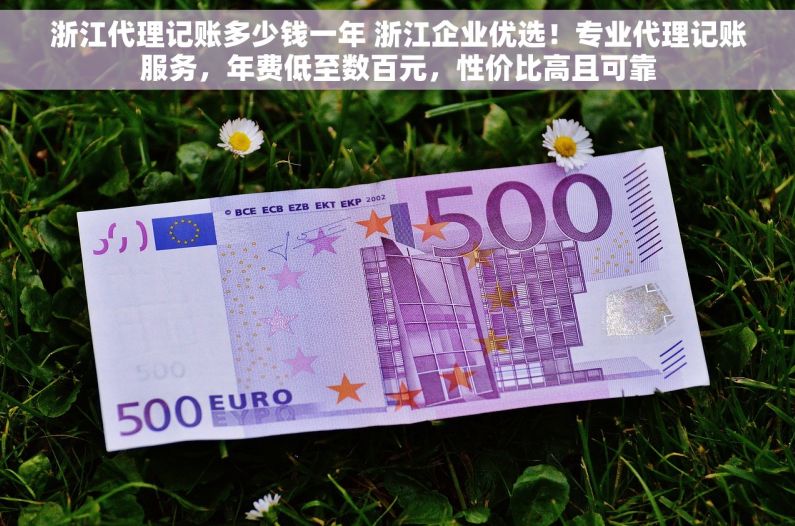 浙江代理记账多少钱一年 浙江企业优选！专业代理记账服务，年费低至数百元，性价比高且可靠
