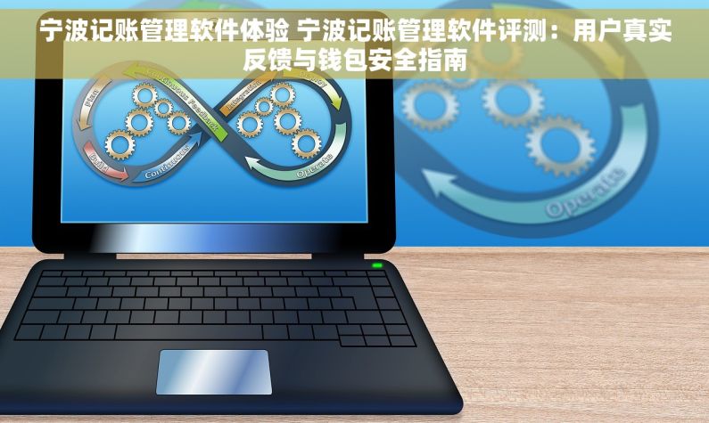 宁波记账管理软件体验 宁波记账管理软件评测：用户真实反馈与钱包安全指南