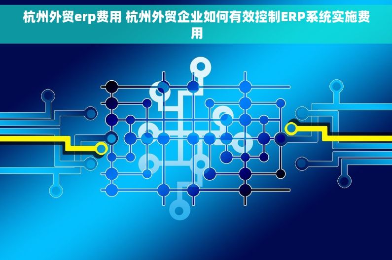 杭州外贸erp费用 杭州外贸企业如何有效控制ERP系统实施费用