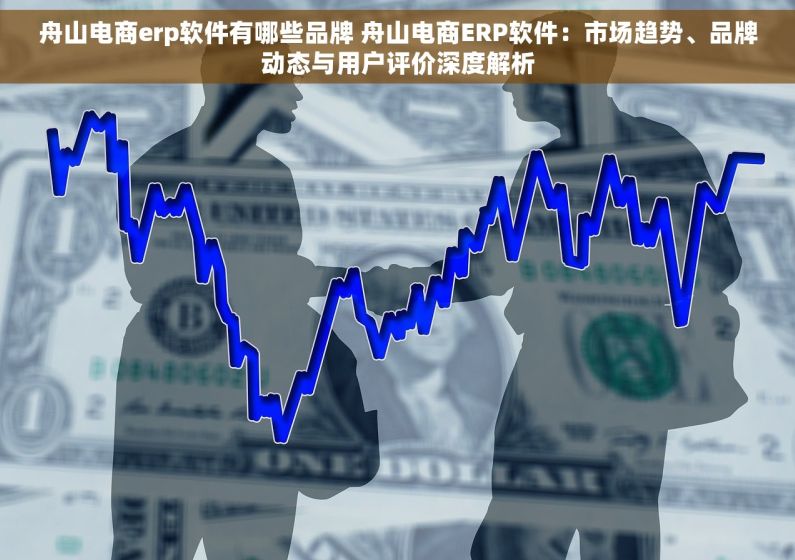 舟山电商erp软件有哪些品牌 舟山电商ERP软件：市场趋势、品牌动态与用户评价深度解析