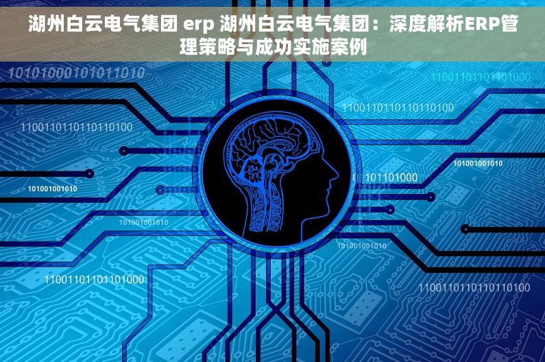 湖州白云电气集团 erp 湖州白云电气集团：深度解析ERP管理策略与成功实施案例