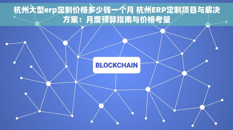 杭州大型erp定制价格多少钱一个月 杭州ERP定制项目与解决方案：月度预算指南与价格考量
