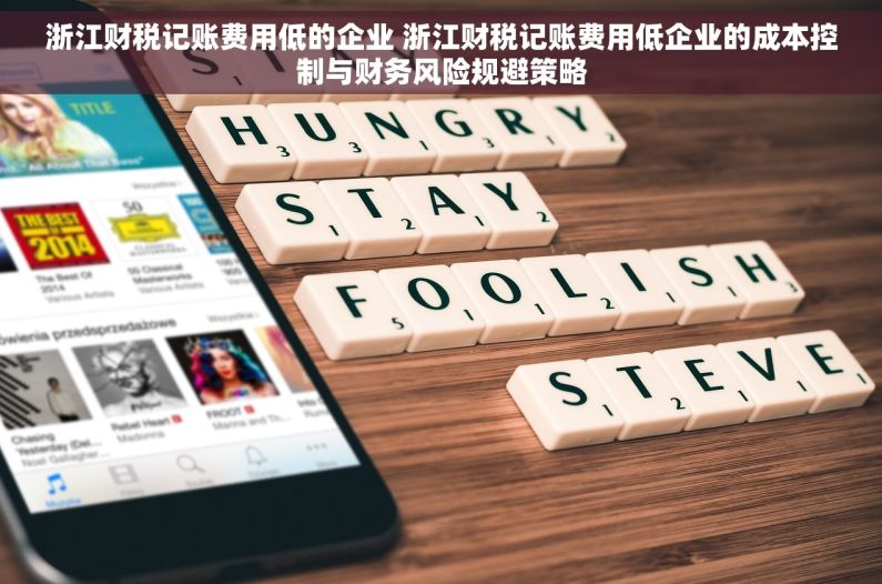 浙江财税记账费用低的企业 浙江财税记账费用低企业的成本控制与财务风险规避策略
