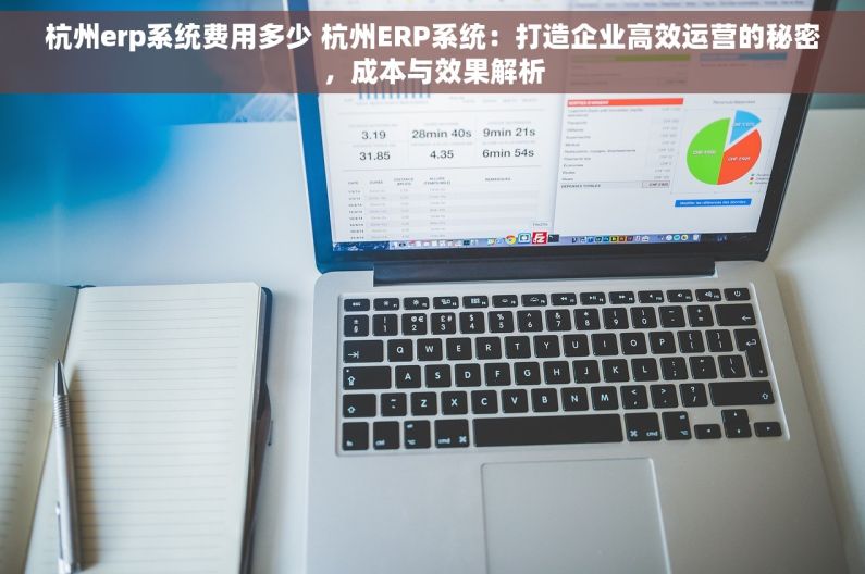 杭州erp系统费用多少 杭州ERP系统：打造企业高效运营的秘密，成本与效果解析