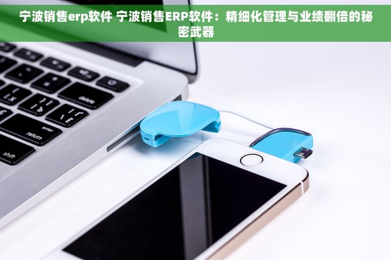 宁波销售erp软件 宁波销售ERP软件：精细化管理与业绩翻倍的秘密武器
