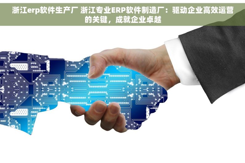 浙江erp软件生产厂 浙江专业ERP软件制造厂：驱动企业高效运营的关键，成就企业卓越