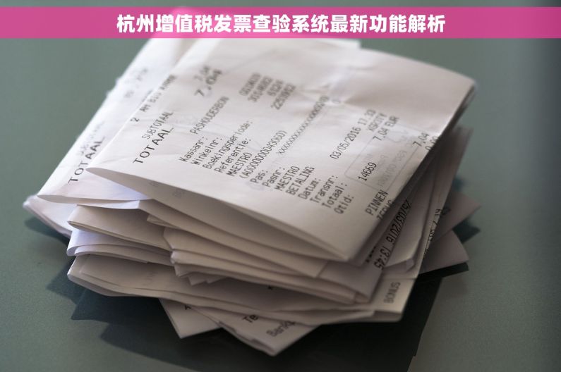 杭州增值税发票查验系统最新功能解析