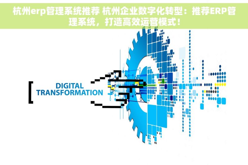 杭州erp管理系统推荐 杭州企业数字化转型：推荐ERP管理系统，打造高效运营模式！
