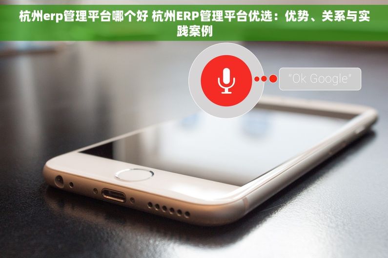杭州erp管理平台哪个好 杭州ERP管理平台优选：优势、关系与实践案例
