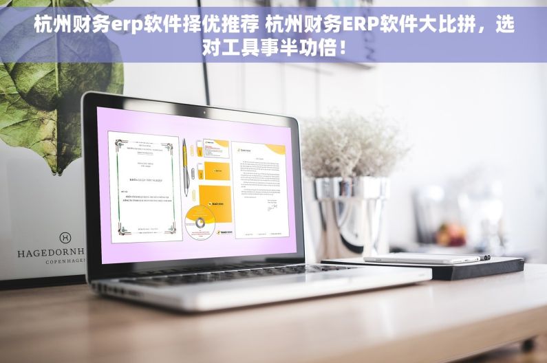 杭州财务erp软件择优推荐 杭州财务ERP软件大比拼，选对工具事半功倍！
