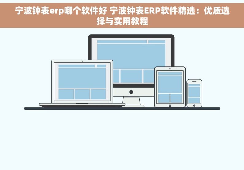 宁波钟表erp哪个软件好 宁波钟表ERP软件精选：优质选择与实用教程