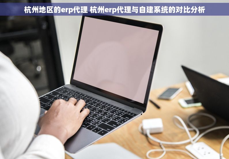 杭州地区的erp代理 杭州erp代理与自建系统的对比分析