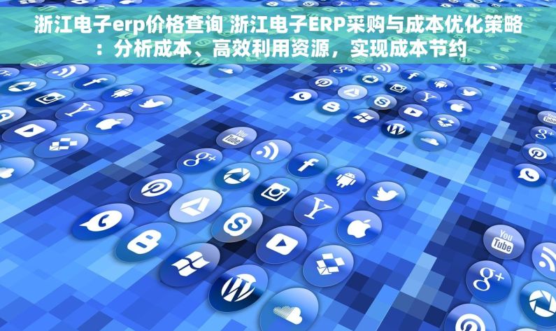 浙江电子erp价格查询 浙江电子ERP采购与成本优化策略：分析成本、高效利用资源，实现成本节约