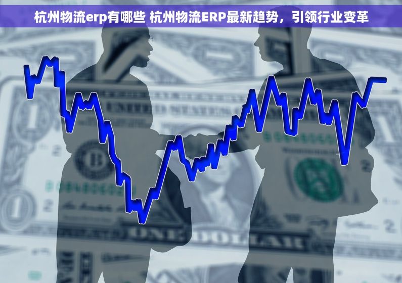杭州物流erp有哪些 杭州物流ERP最新趋势，引领行业变革