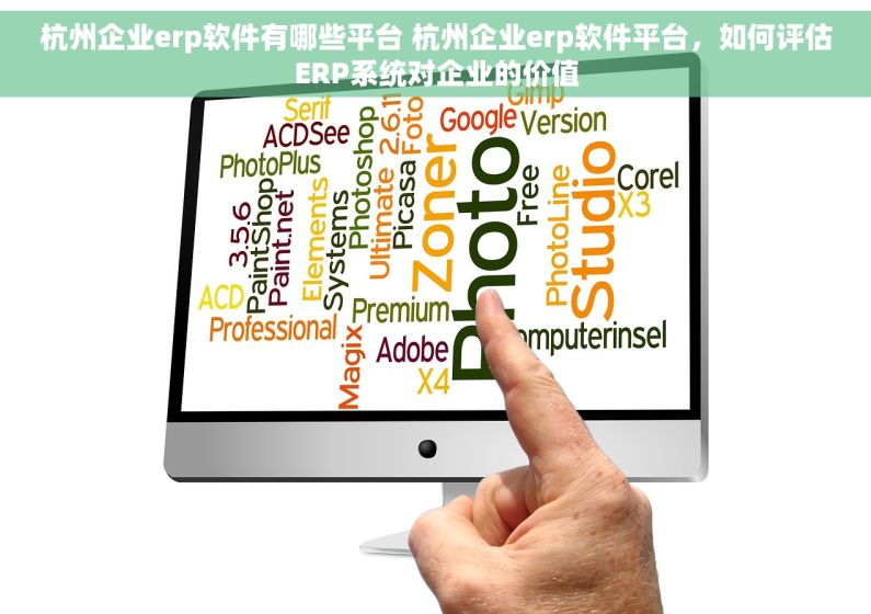 杭州企业erp软件有哪些平台 杭州企业erp软件平台，如何评估ERP系统对企业的价值