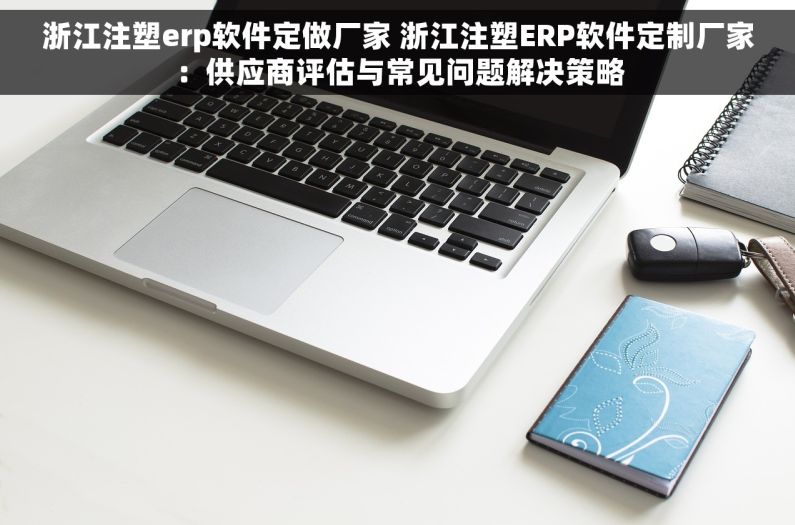 浙江注塑erp软件定做厂家 浙江注塑ERP软件定制厂家：供应商评估与常见问题解决策略