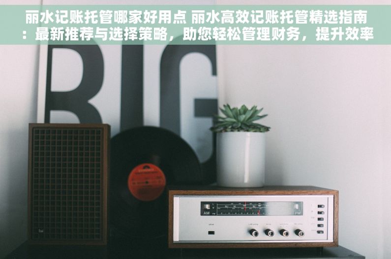 丽水记账托管哪家好用点 丽水高效记账托管精选指南：最新推荐与选择策略，助您轻松管理财务，提升效率