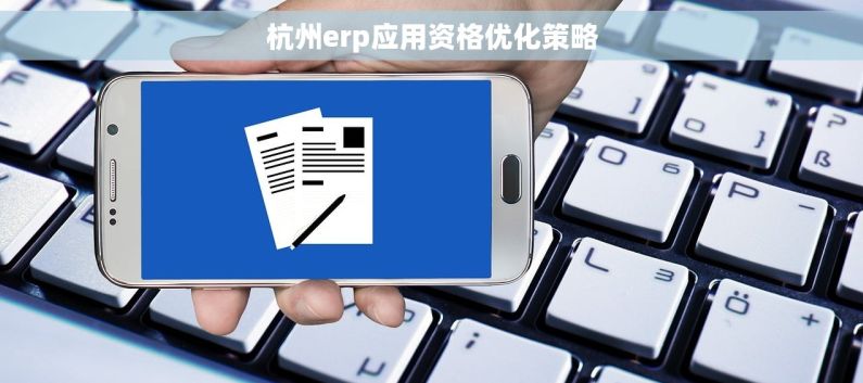杭州erp应用资格优化策略