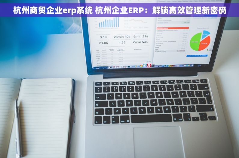 杭州商贸企业erp系统 杭州企业ERP：解锁高效管理新密码