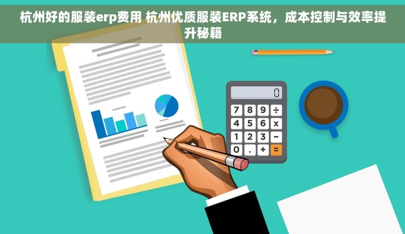 杭州好的服装erp费用 杭州优质服装ERP系统，成本控制与效率提升秘籍