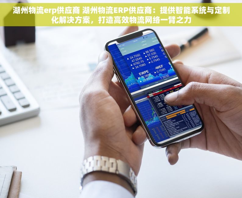 湖州物流erp供应商 湖州物流ERP供应商：提供智能系统与定制化解决方案，打造高效物流网络一臂之力