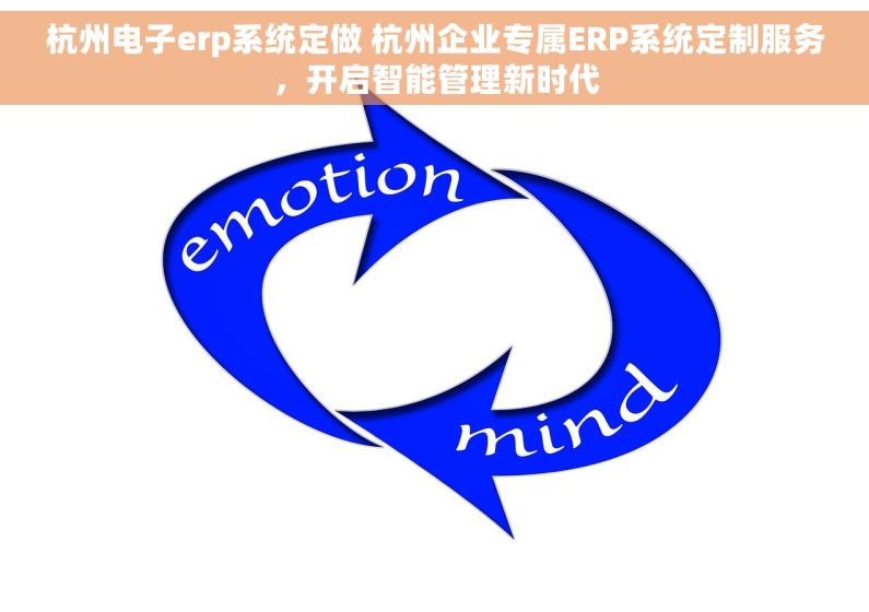 杭州电子erp系统定做 杭州企业专属ERP系统定制服务，开启智能管理新时代