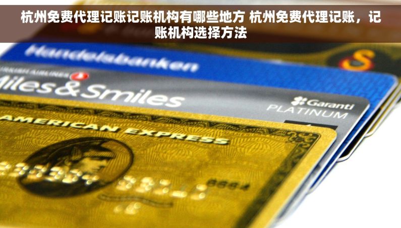 杭州免费代理记账记账机构有哪些地方 杭州免费代理记账，记账机构选择方法