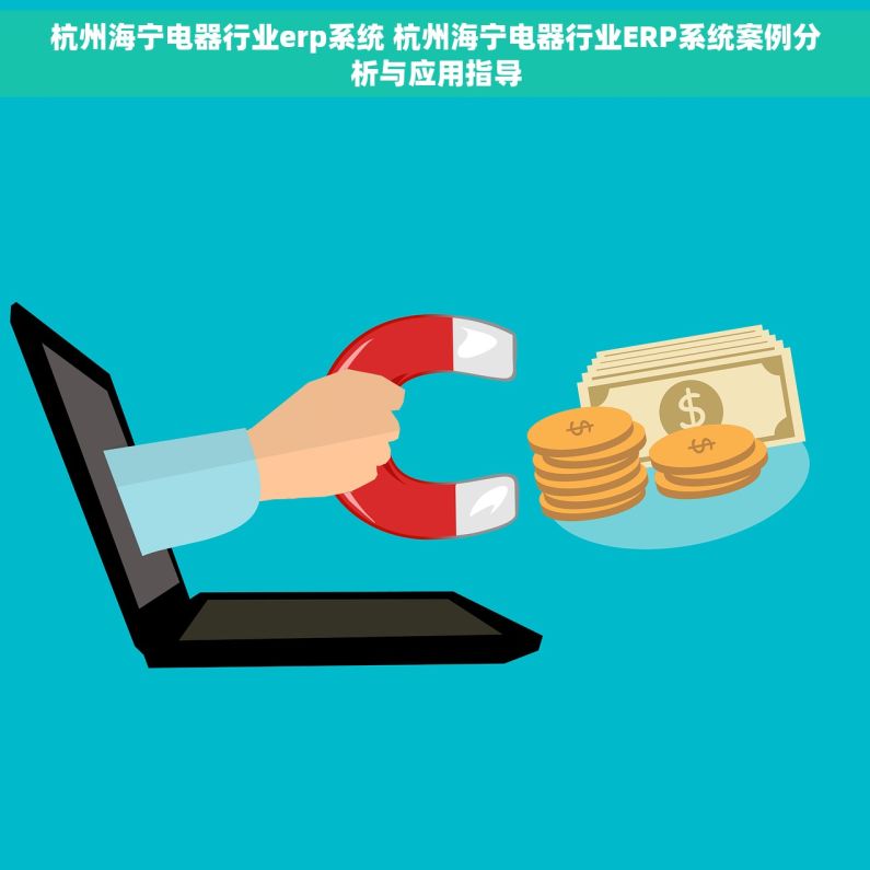 杭州海宁电器行业erp系统 杭州海宁电器行业ERP系统案例分析与应用指导