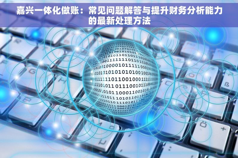 嘉兴一体化做账：常见问题解答与提升财务分析能力的最新处理方法