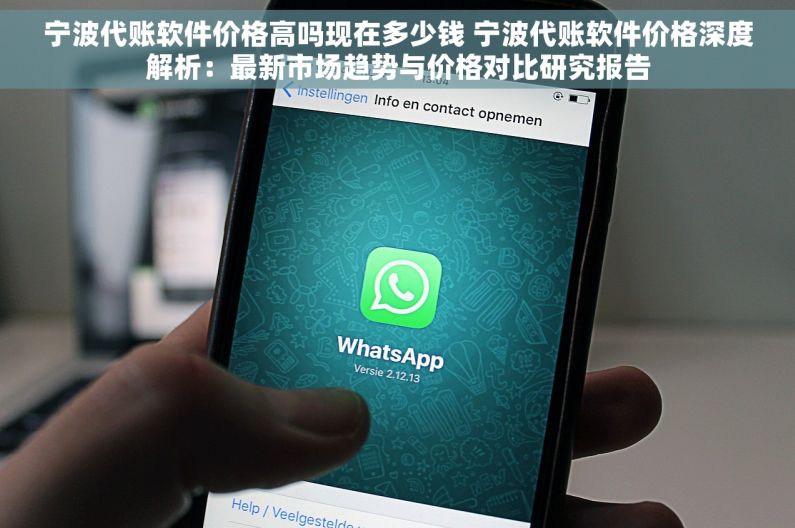 宁波代账软件价格高吗现在多少钱 宁波代账软件价格深度解析：最新市场趋势与价格对比研究报告