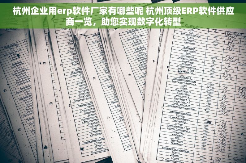 杭州企业用erp软件厂家有哪些呢 杭州顶级ERP软件供应商一览，助您实现数字化转型
