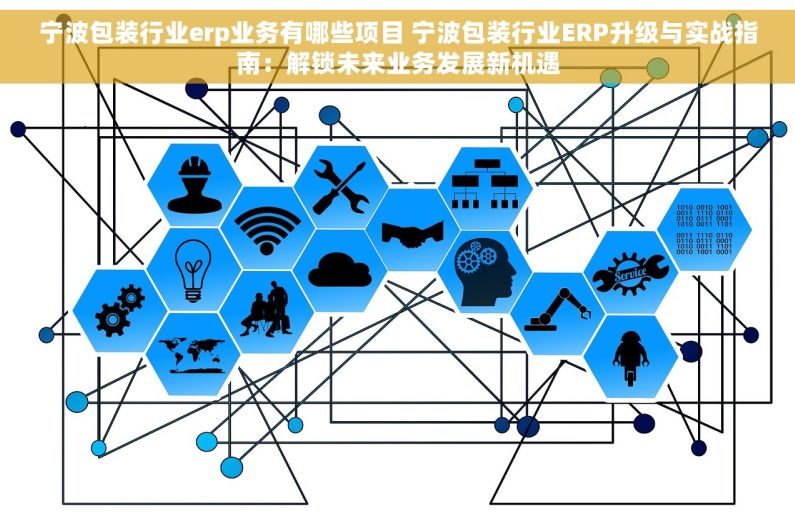 宁波包装行业erp业务有哪些项目 宁波包装行业ERP升级与实战指南：解锁未来业务发展新机遇