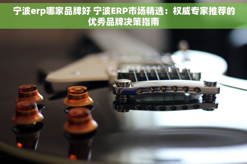 宁波erp哪家品牌好 宁波ERP市场精选：权威专家推荐的优秀品牌决策指南