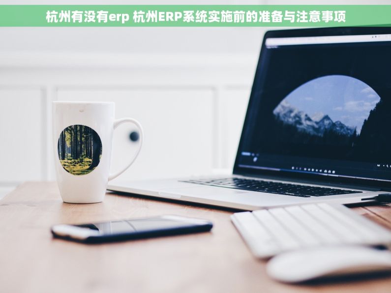 杭州有没有erp 杭州ERP系统实施前的准备与注意事项