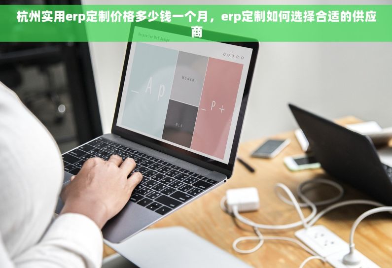 杭州实用erp定制价格多少钱一个月，erp定制如何选择合适的供应商