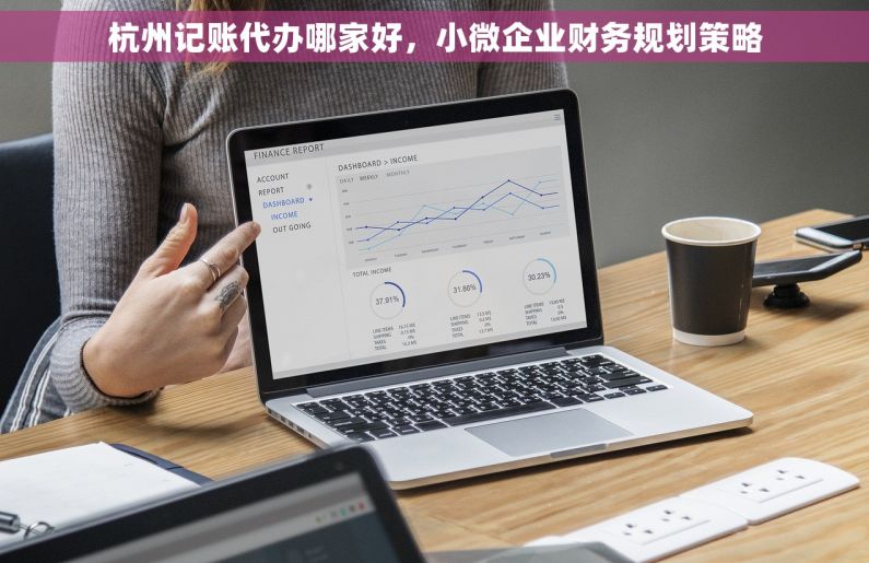 杭州记账代办哪家好，小微企业财务规划策略