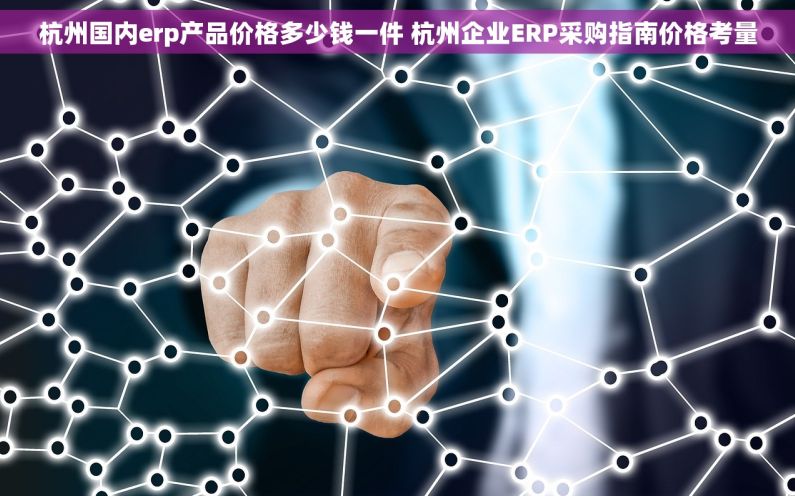 杭州国内erp产品价格多少钱一件 杭州企业ERP采购指南价格考量