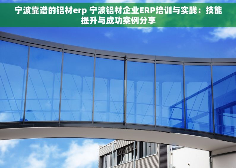 宁波靠谱的铝材erp 宁波铝材企业ERP培训与实践：技能提升与成功案例分享